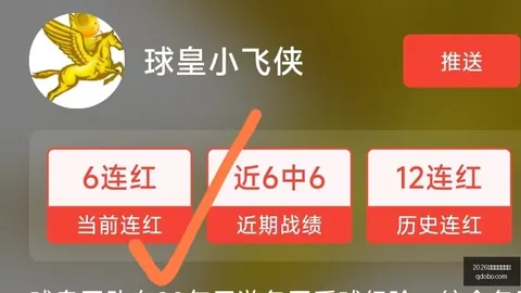 2026世界杯，世界杯竞猜，投注官网 093010